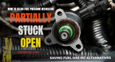 Cleaning Fuel Pressure Regulators: Unsticking the Stuck Valve