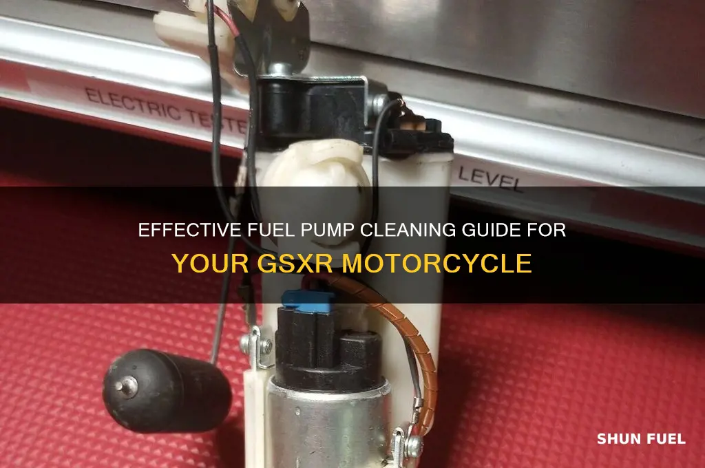 how to clean fuel pump gsxr