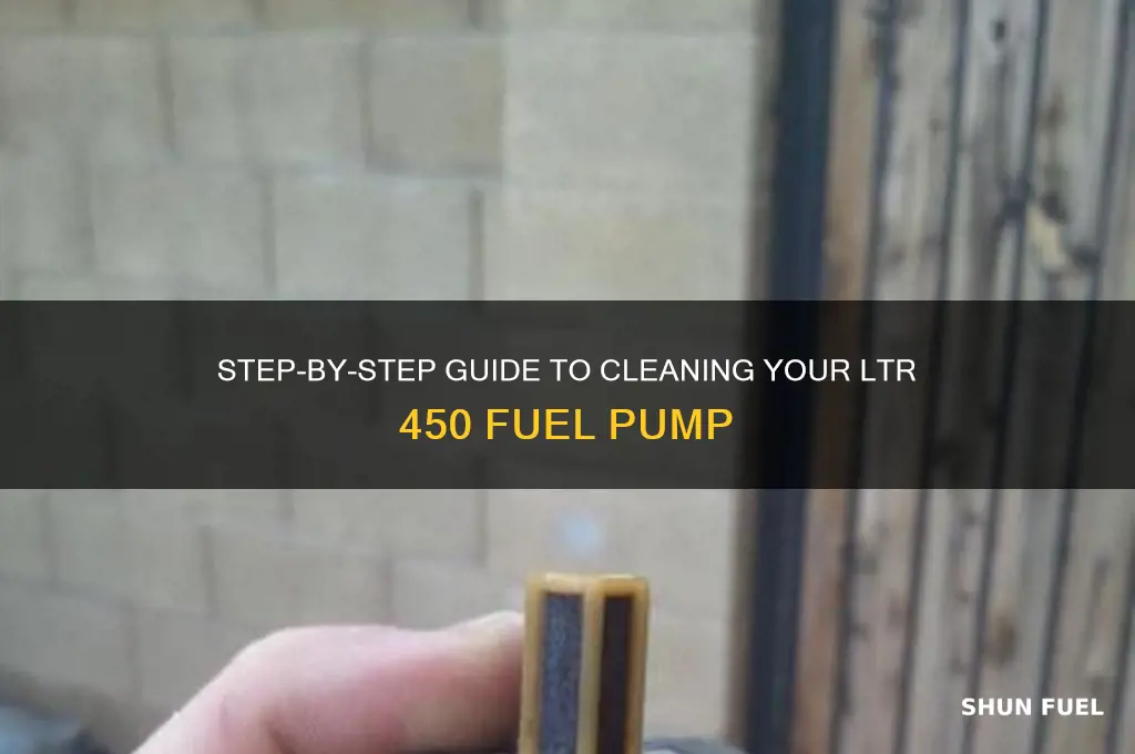 how to clean fuel pump on ltr 450