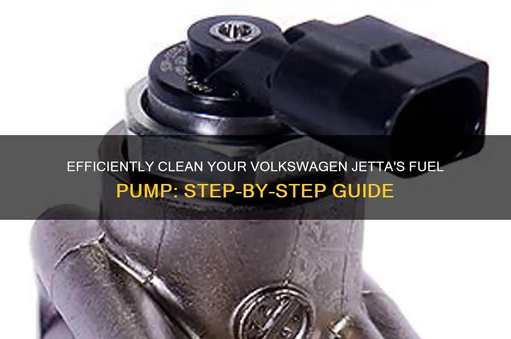 how to clean fuel pump volkswagen jetta