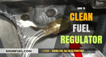 Effective Steps to Clean Your Fuel Regulator for Optimal Performance