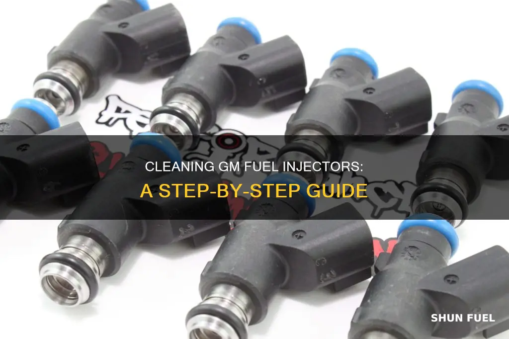 how to clean gm fuel injectors