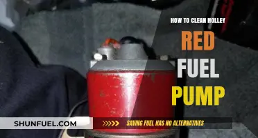 Efficiently Clean Your Holley Red Fuel Pump: Step-by-Step Guide