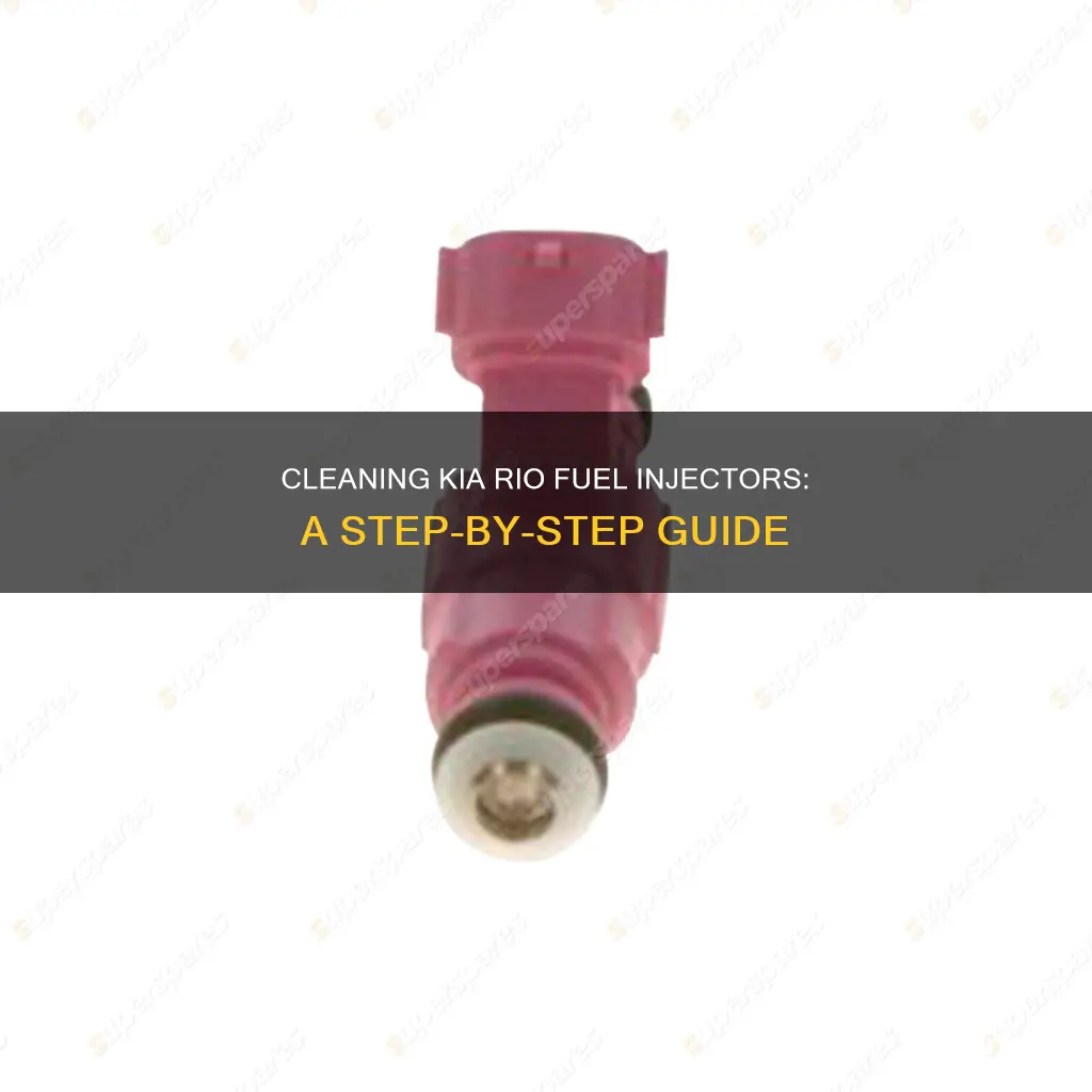 how to clean kia rio fuel injectors