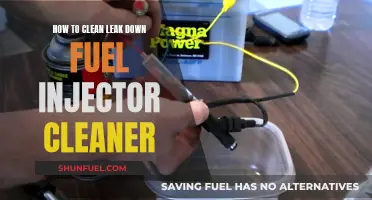 Cleaning Fuel Injectors: DIY Guide to Cleaner Injectors