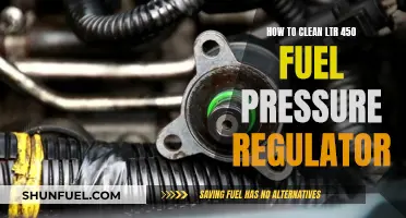 Cleaning Your LTR 450: Fuel Pressure Regulator Maintenance