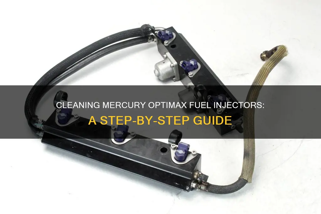 how to clean mercury optimax fuel injectors