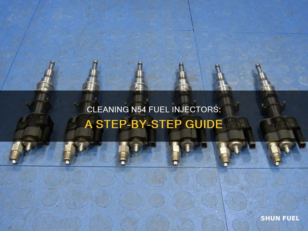 how to clean n54 fuel injectors