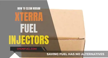 Cleaning Fuel Injectors in a Nissan Xterra: Step-by-Step Guide