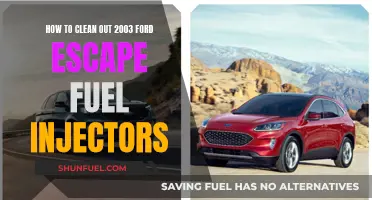 Cleaning Ford Escape Fuel Injectors: A Step-by-Step Guide