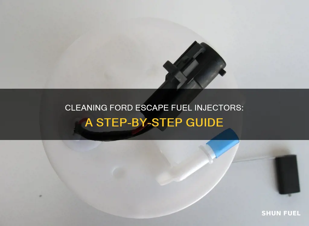 how to clean out 2003 ford escape fuel injectors