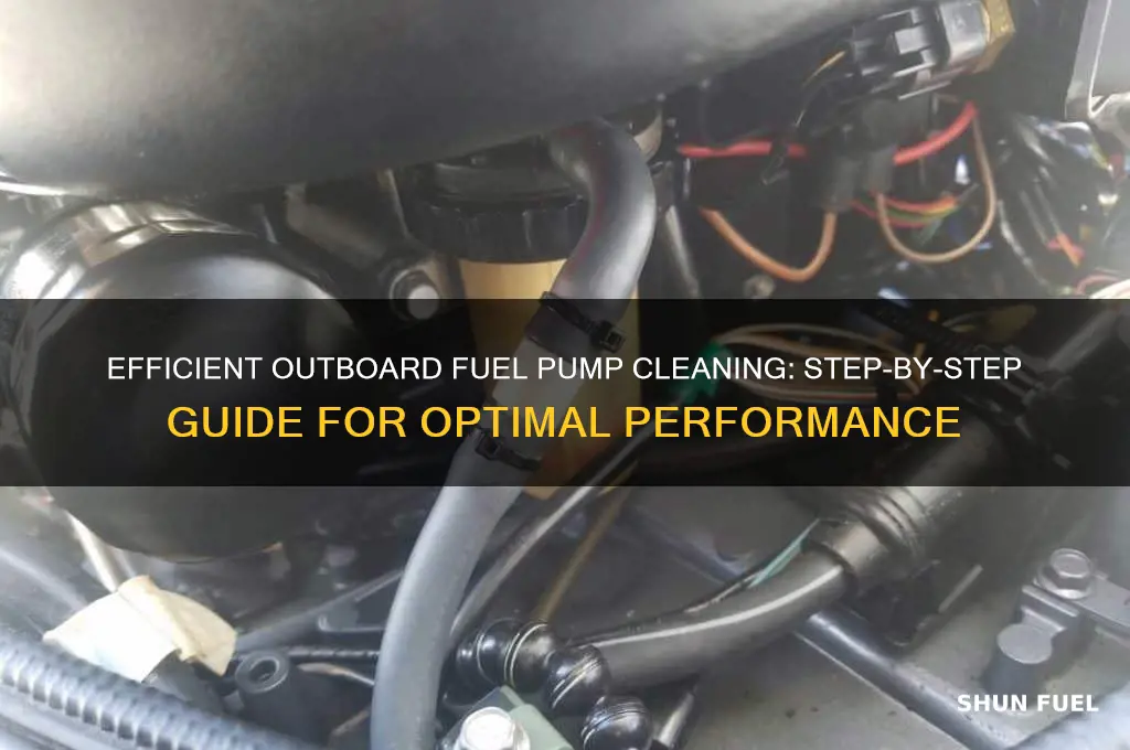 how to clean outboard fuel pump