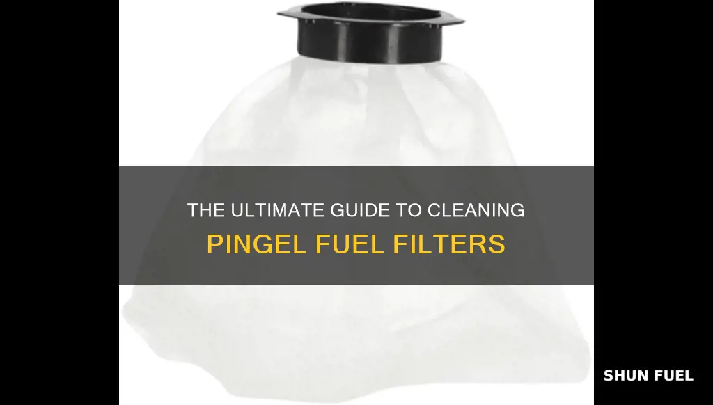 how to clean pingel fuel filter