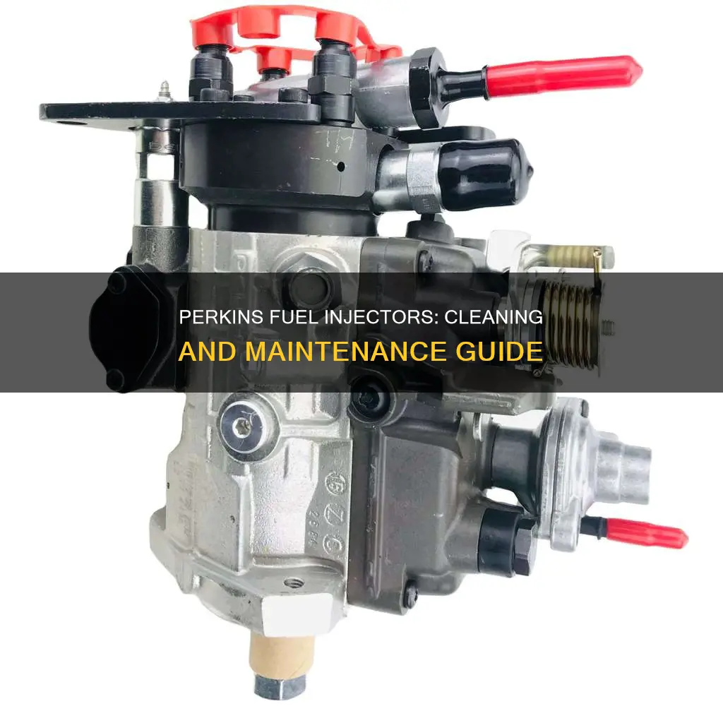 how to clean prkins fuel injectors