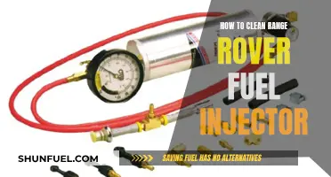 Cleaning Your Range Rover's Fuel Injector: A Step-by-Step Guide