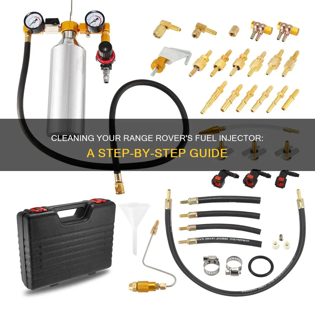 how to clean range rover fuel injector