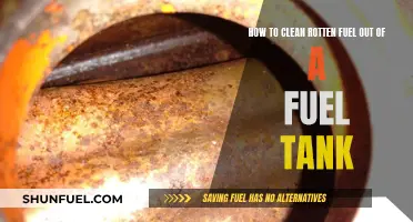 Cleaning Rotten Fuel: DIY Fuel Tank Rescue