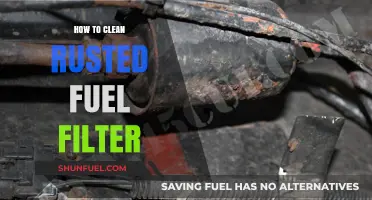 Cleaning Rusted Fuel Filters: DIY Guide