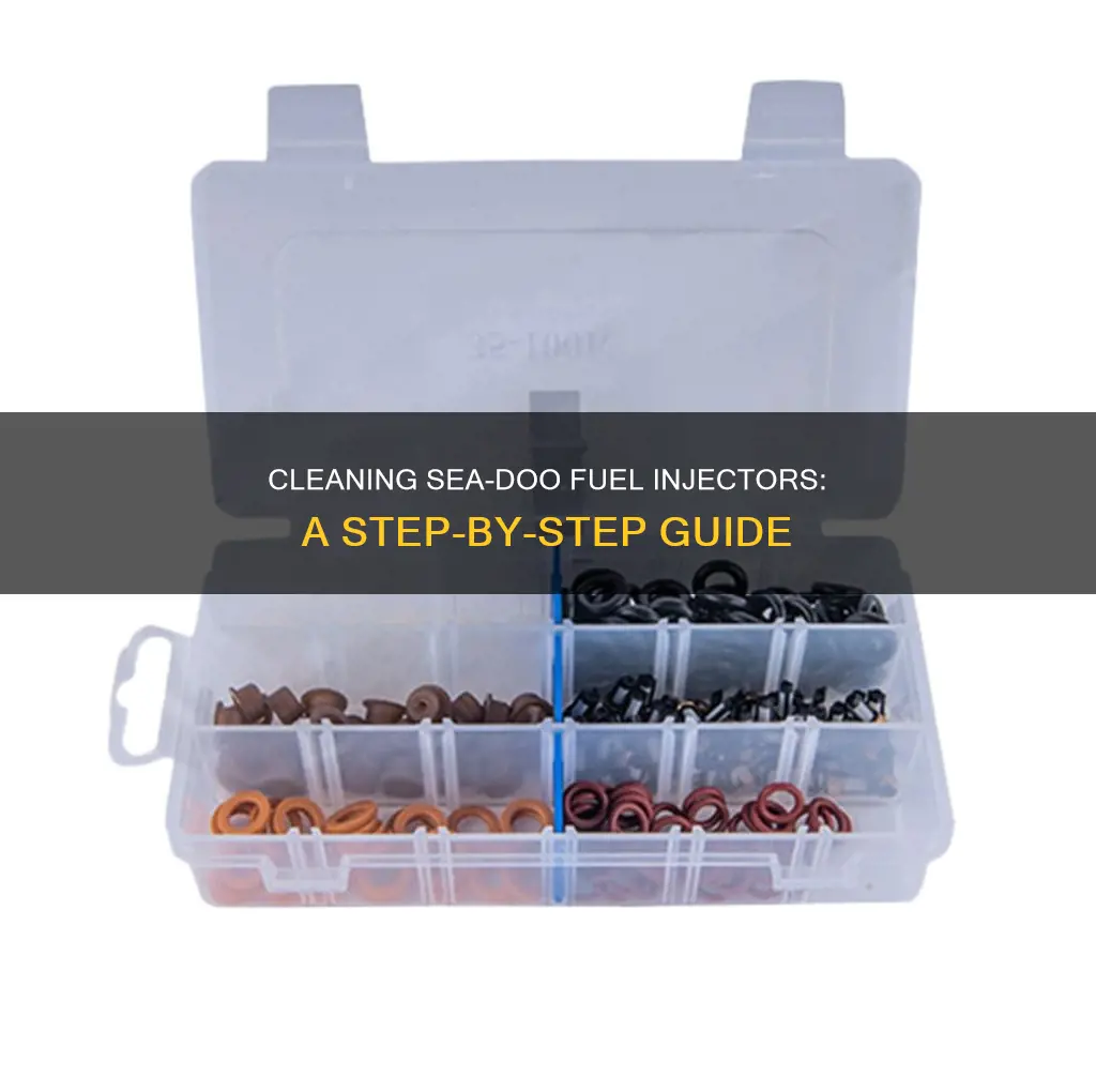 how to clean sea doo fuel injectors