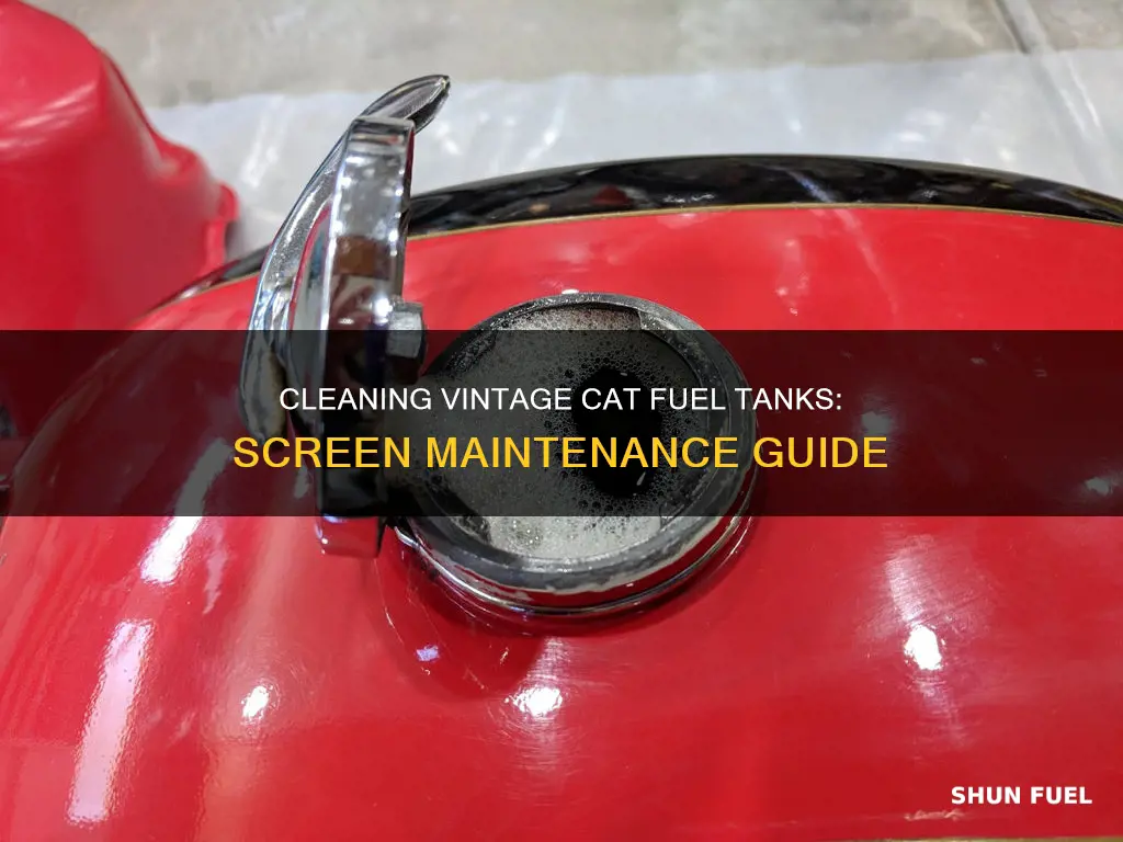 how to clean ventage cat fuel tank screen