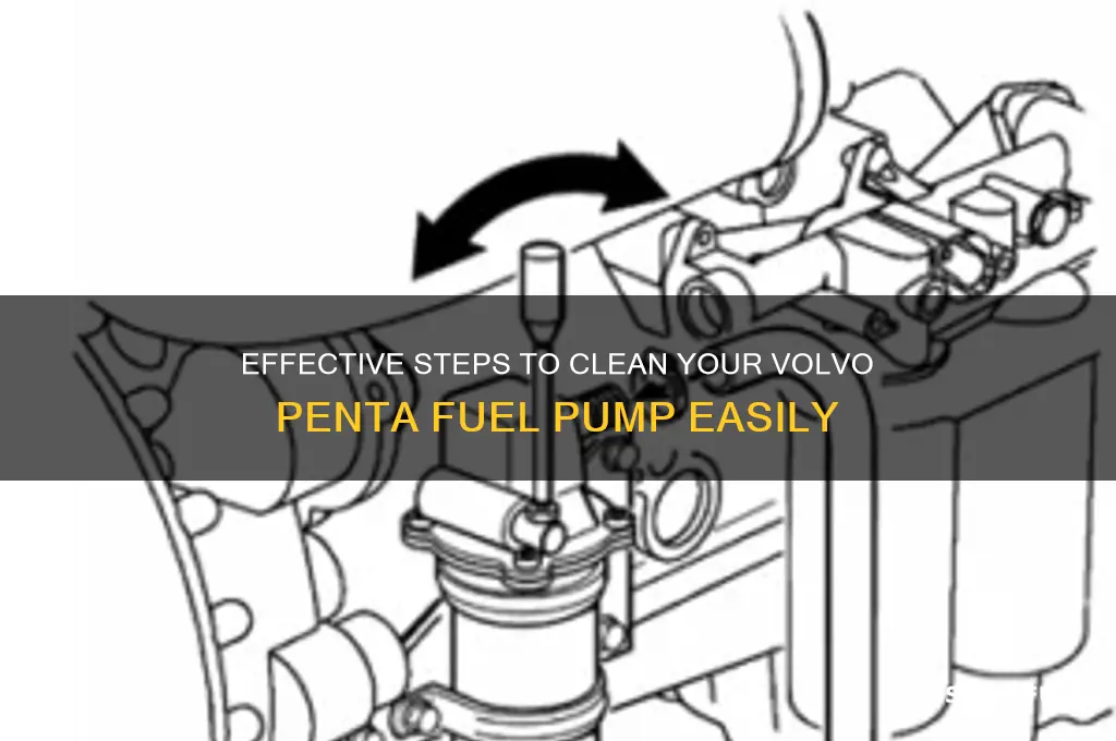 how to clean volvo penta fuel pump