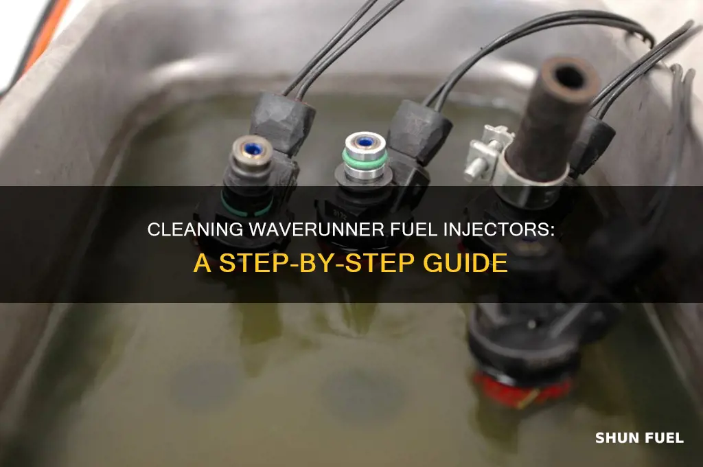 how to clean waverunner fuel injector