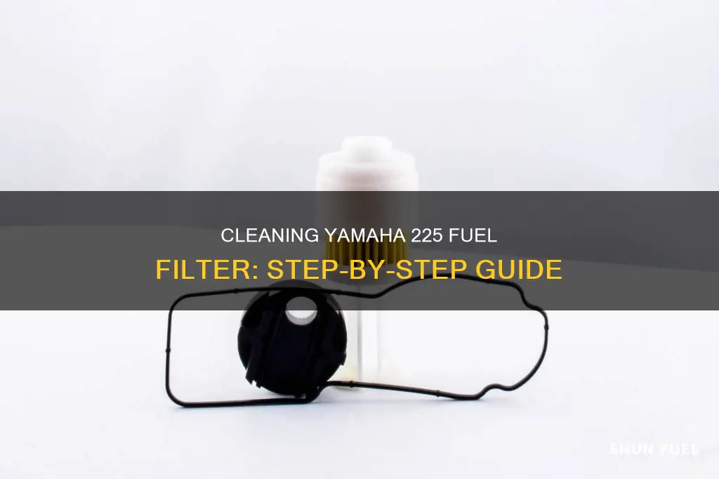 how to clean yamaha 225 fuel filter