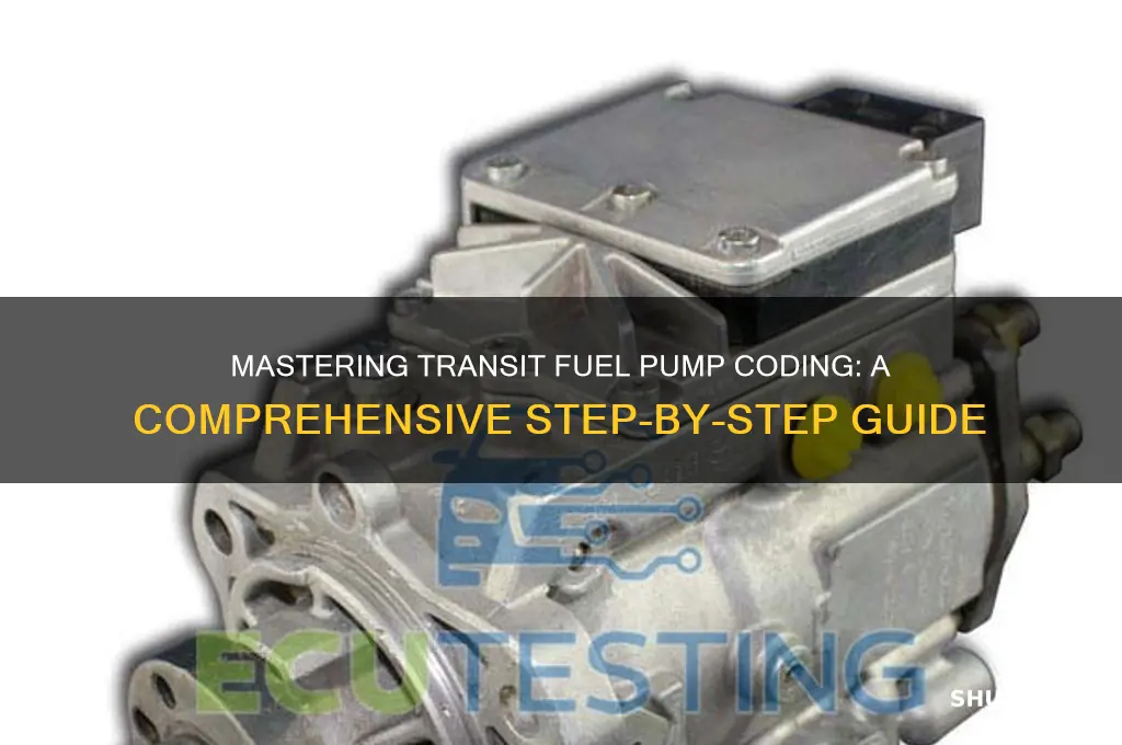 how to code transit fuel pump