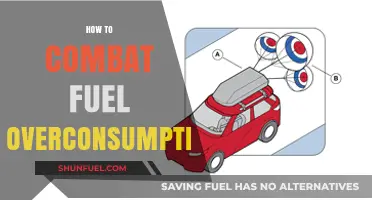 Efficient Driving Habits: Strategies to Reduce Fuel Overconsumption and Save Money