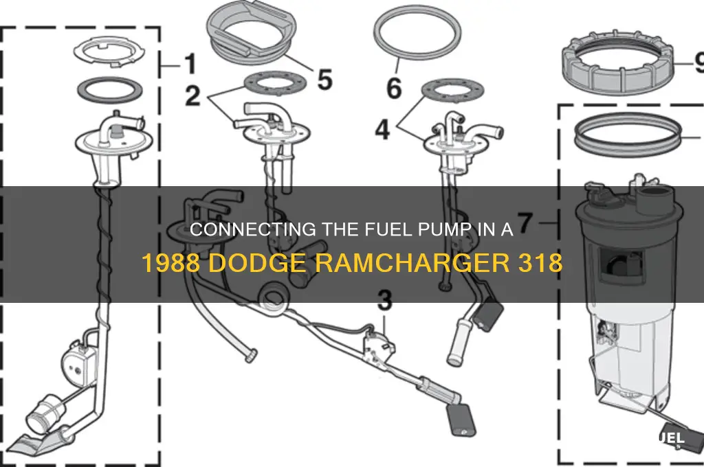 how to connect fuel pump for 1988 dodge ramcharger 318