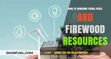 Sustainable Living: Smart Strategies to Save Fossil Fuels and Firewood