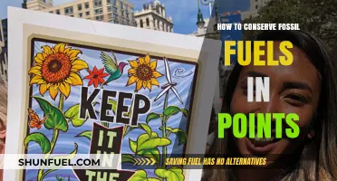 Smart Strategies to Save Fossil Fuels: Practical Conservation Tips
