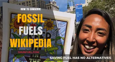 Effective Strategies to Conserve Fossil Fuels: A Comprehensive Guide