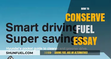 Smart Fuel Conservation Tips: Save Money and Protect the Environment