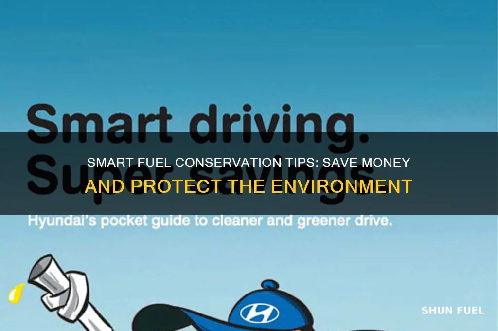 how to conserve fuel essay