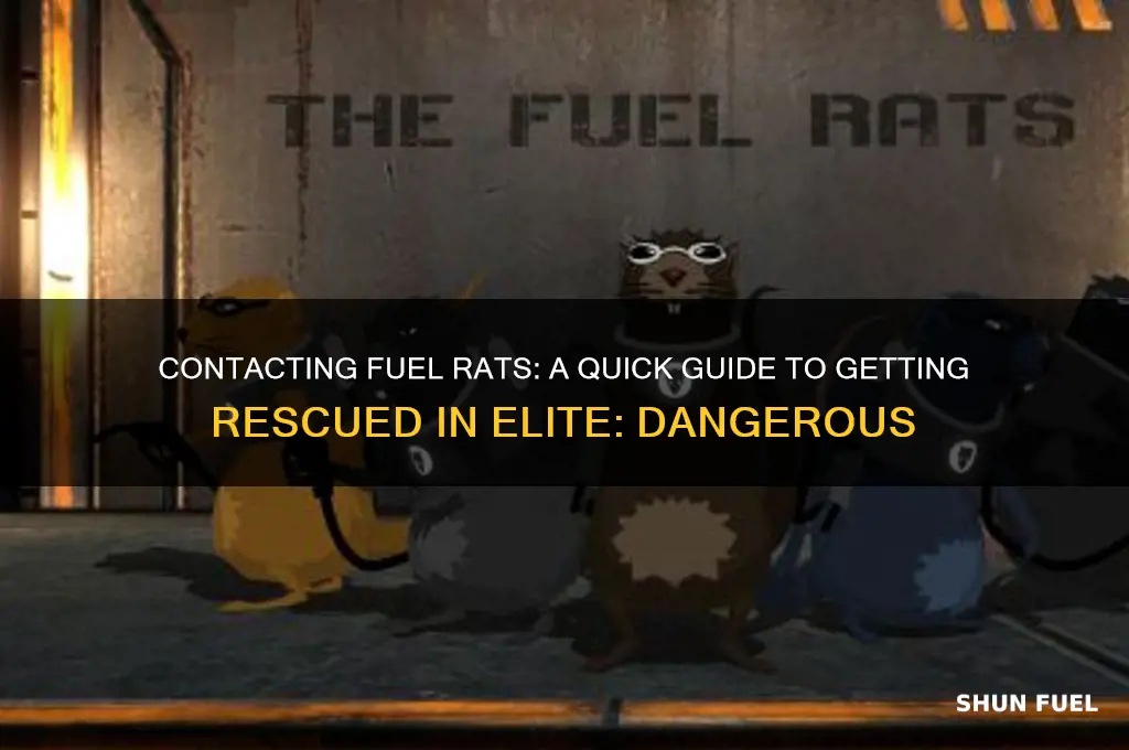 how to contact fuel rats