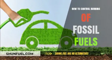 Reducing Fossil Fuel Dependence: Strategies to Curb Emissions and Promote Sustainability