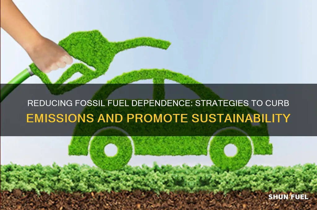 how to control burning of fossil fuels