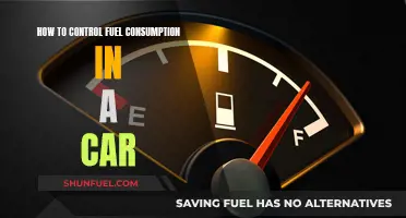 Optimize Your Ride: Tips to Reduce Car Fuel Usage