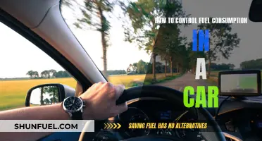 Fuel Efficiency: Tips to Control Car Fuel Consumption