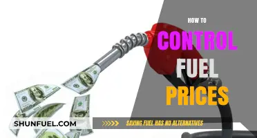 Strategies to Stabilize Fuel Prices: A Comprehensive Guide for Consumers