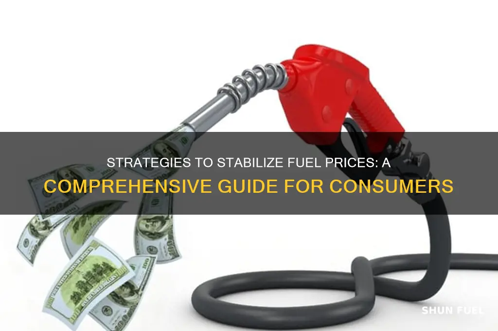 how to control fuel prices
