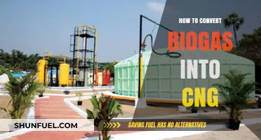 Eco-Friendly Energy Shift: Converting Biogas to CNG for a Sustainable Future