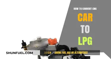 Eco-Friendly Driving: Seamless CNG to LPG Conversion Guide