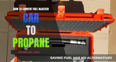 Propane Power: Converting Your Fuel-Injected Car for a Greener Drive