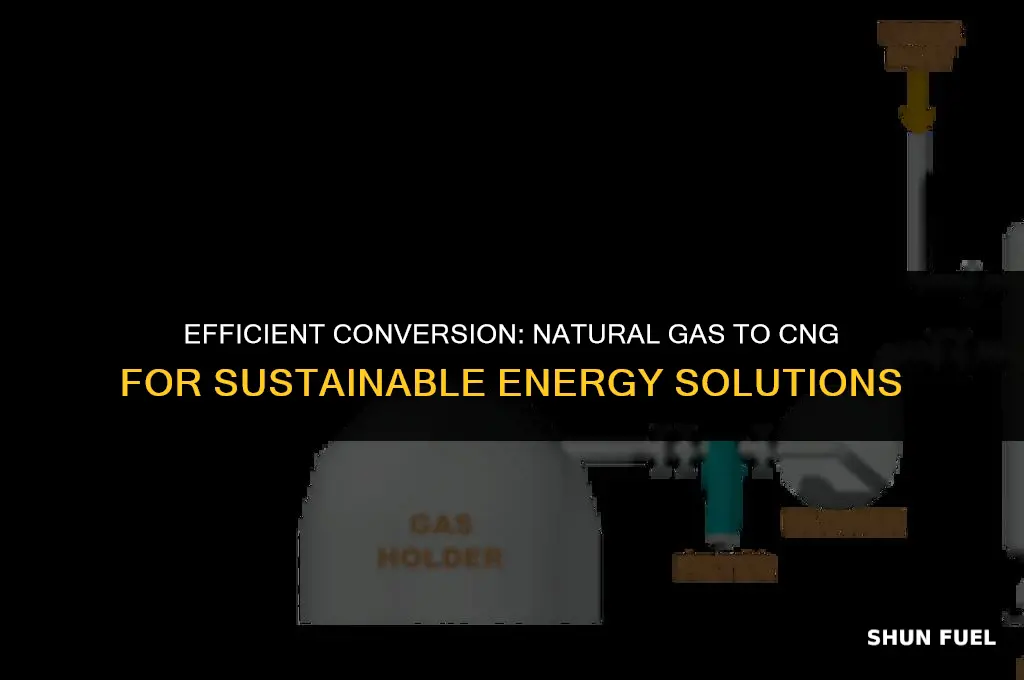 how to convert natural gas to cng