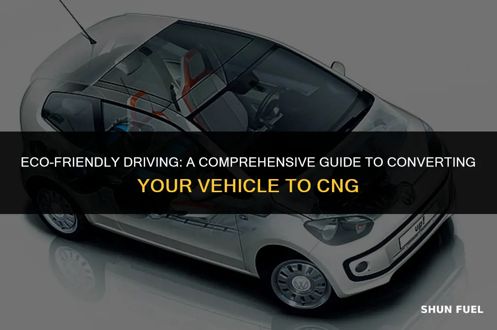 how to convert to cng