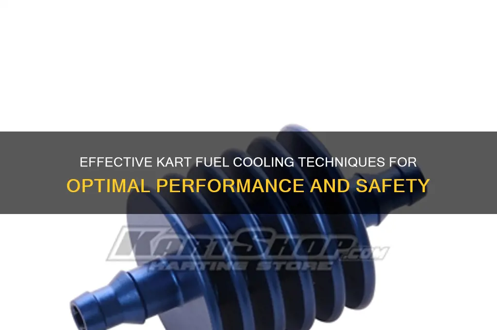 how to cool kart fuel