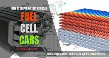 Creating Cars of the Future: Nitrogen Fuel Cells