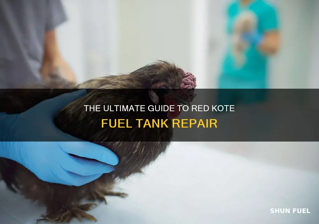how to cure red kote fuel tank liner